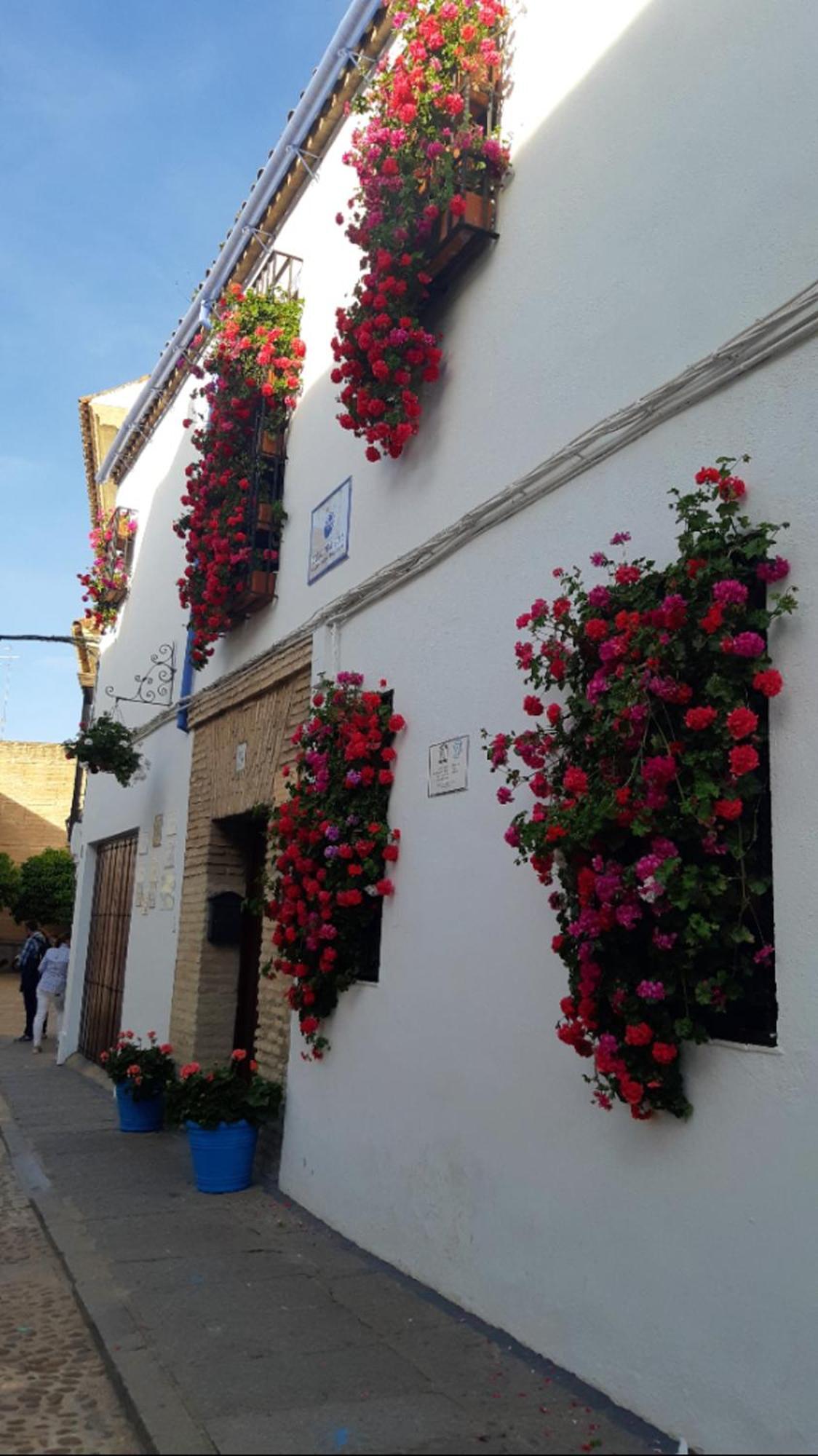 Apartamento En Barrio San Basilio Appartement Córdoba Buitenkant foto